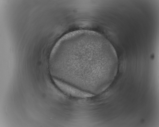 X0000110941345200907022124