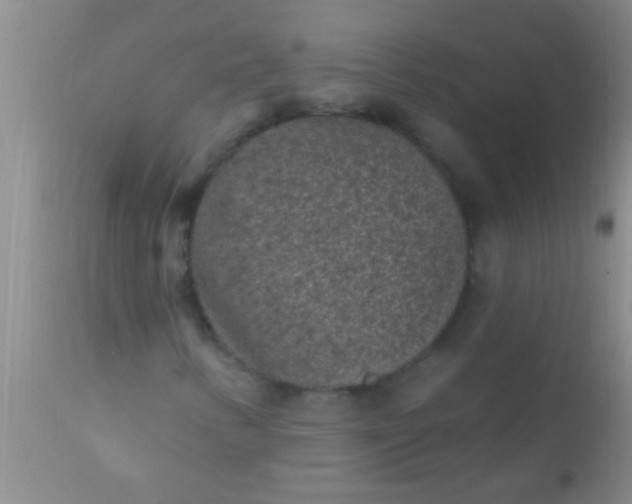 X0000110941346200907022124