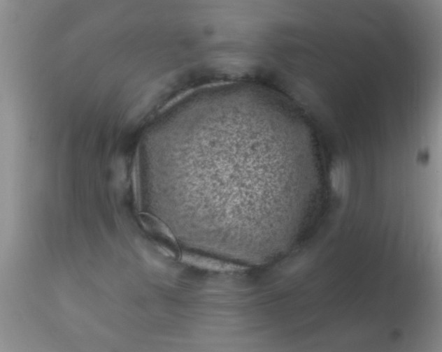 X0000110941347200907022124