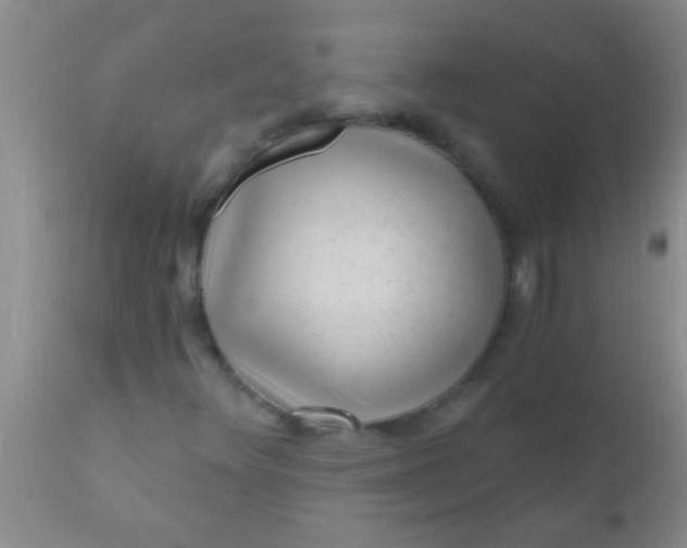 X0000110941348200907022124