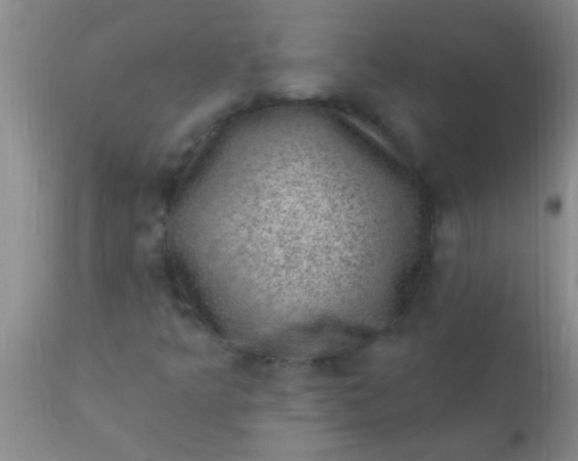 X0000110941349200907022124