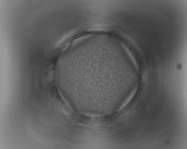 X0000110941350200907022124