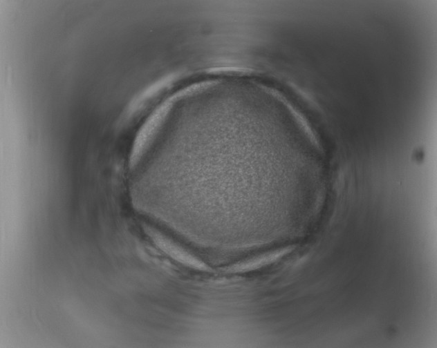 X0000110941351200907022124