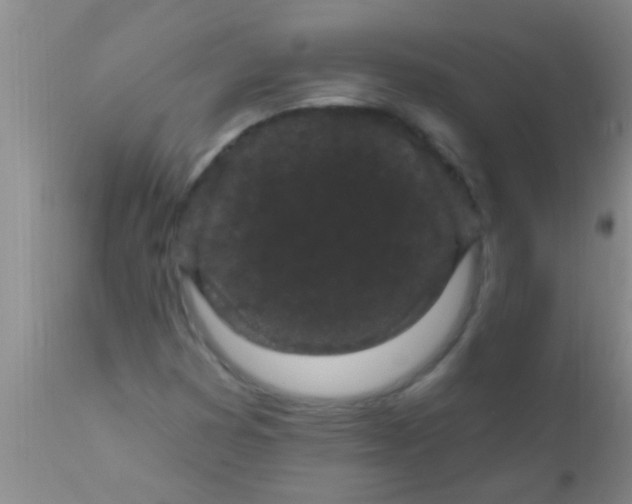 X0000110941353200907022124