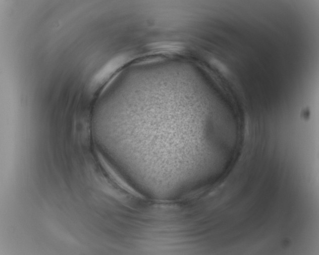 X0000110941354200907022124