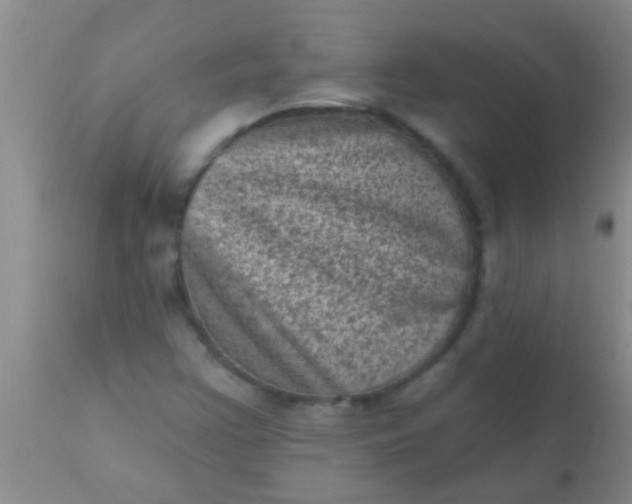 X0000110941355200907022124