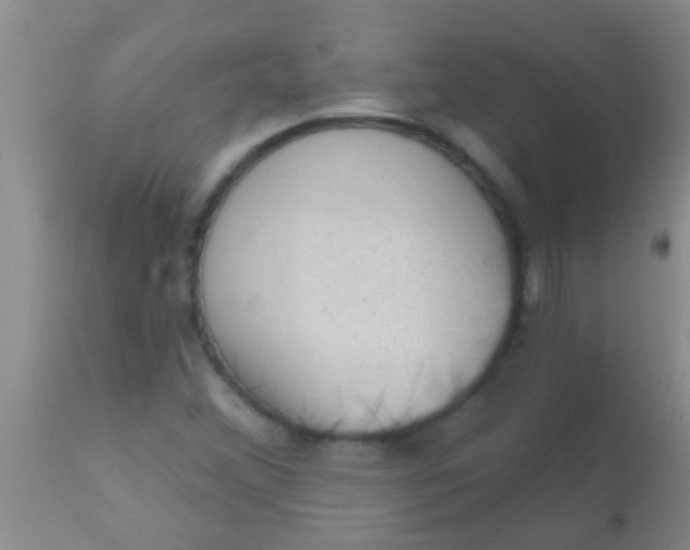 X0000110941356200907022124