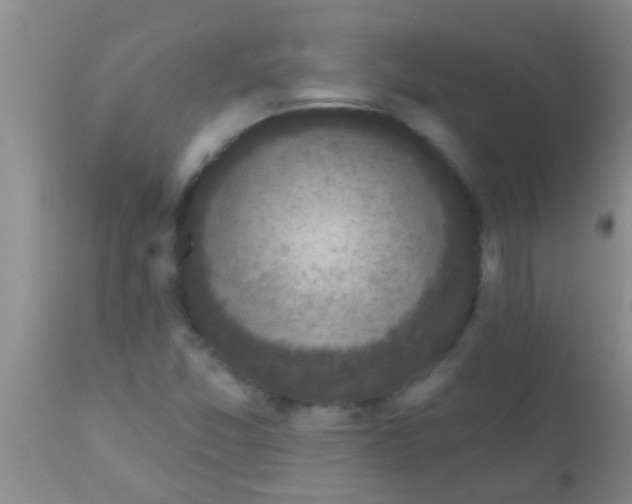 X0000110941357200907022124