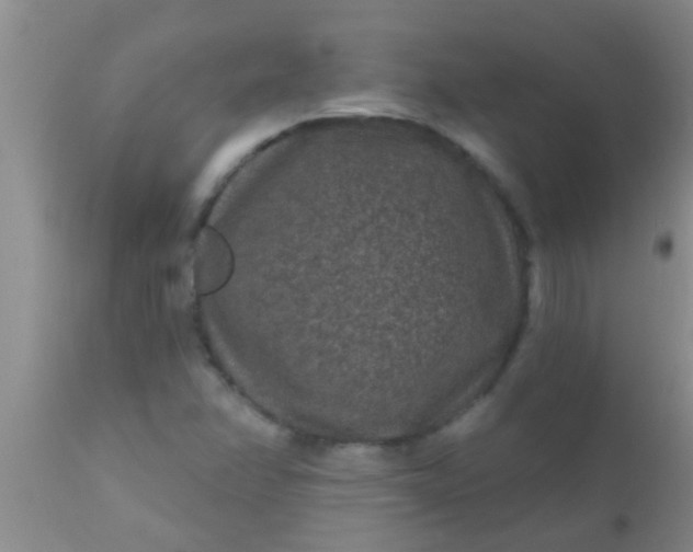 X0000110941358200907022124