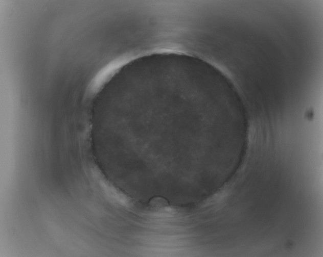 X0000110941359200907022124