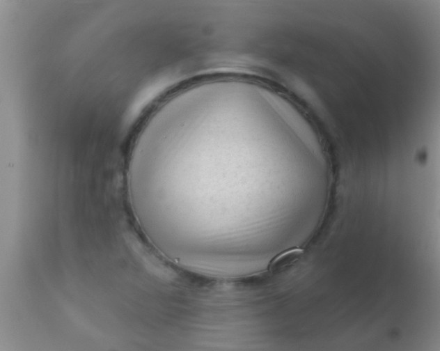 X0000110941360200907022124