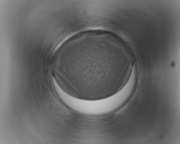 X0000110941361200907022124