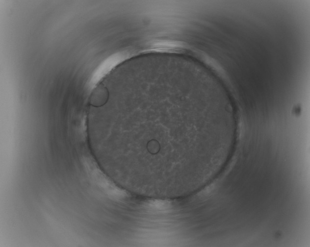 X0000110941362200907022124