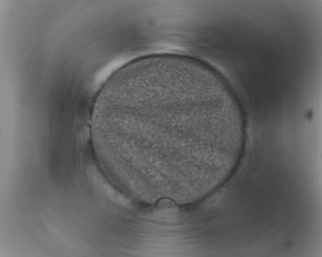 X0000110941363200907022124