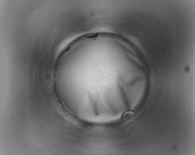 X0000110941364200907022124