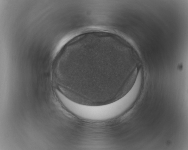 X0000110941365200907022124