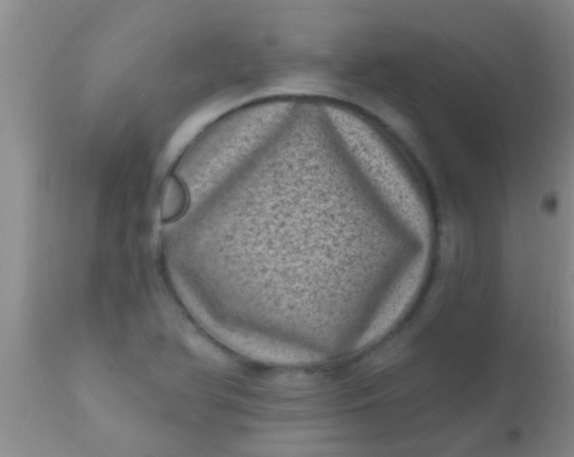 X0000110941366200907022124