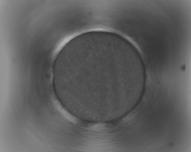 X0000110941367200907022124