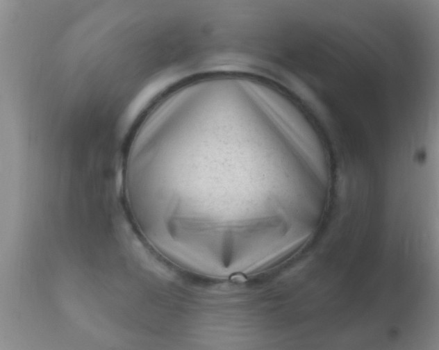 X0000110941368200907022124