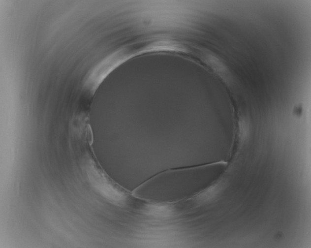 X0000110941369200907022124