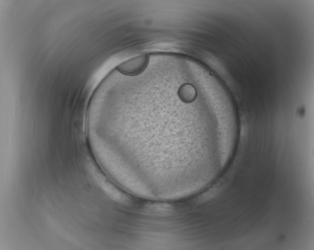 X0000110941370200907022124