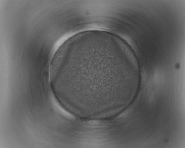 X0000110941371200907022124