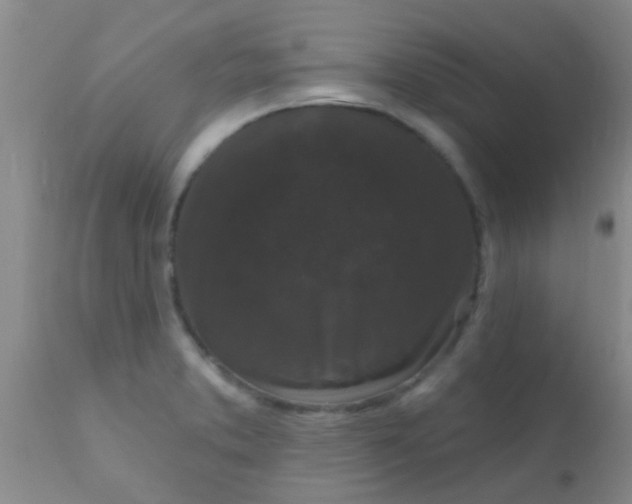 X0000110941373200907022124