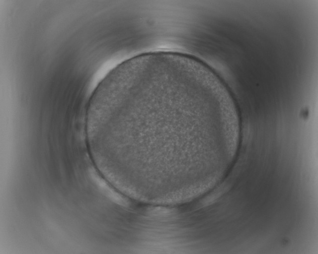 X0000110941374200907022124