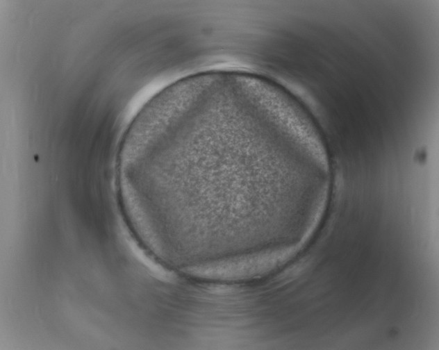 X0000110941375200907022124