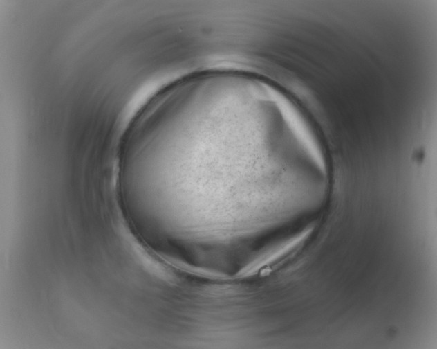 X0000110941376200907022124