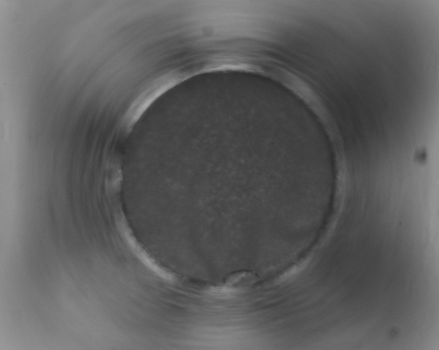 X0000110941377200907022124