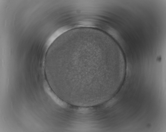 X0000110941378200907022124