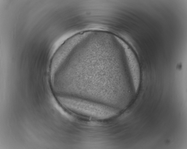 X0000110941379200907022124