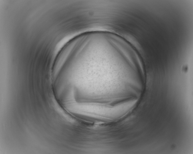 X0000110941380200907022124