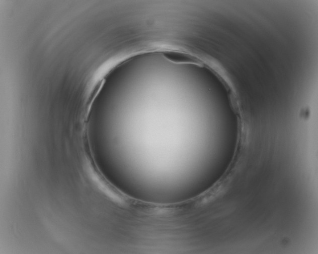 X0000110941381200907022124