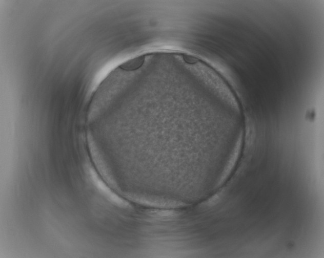 X0000110941382200907022124