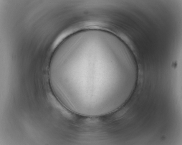 X0000110941384200907022123