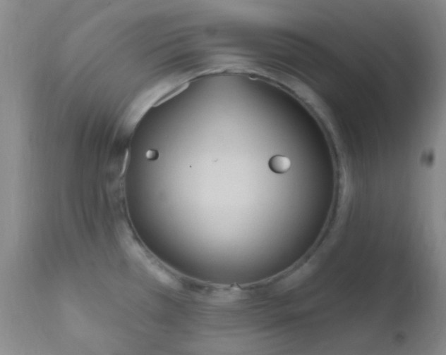 X0000110941385200907022123