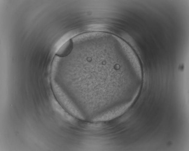 X0000110941386200907022123