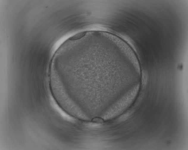 X0000110941387200907022123