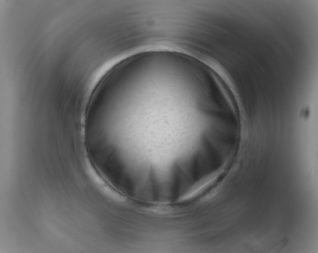 X0000110941388200907022123