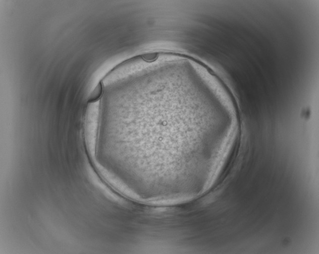 X0000110941390200907022123