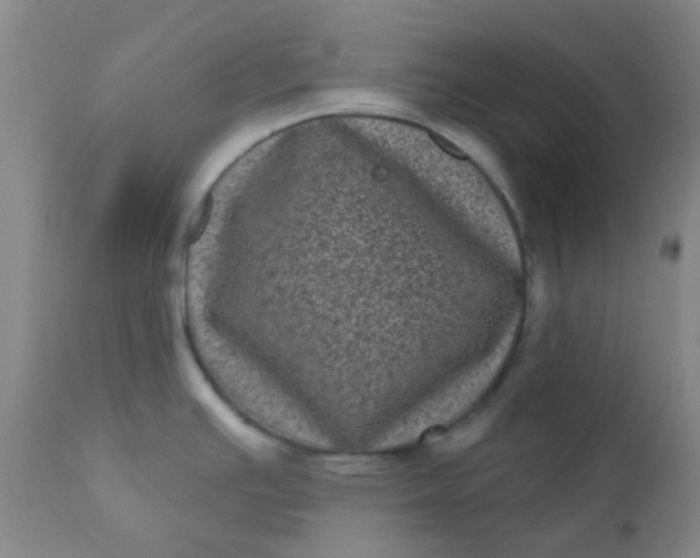 X0000110941391200907022123