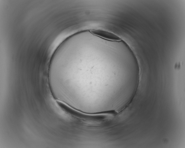 X0000110941392200907022123