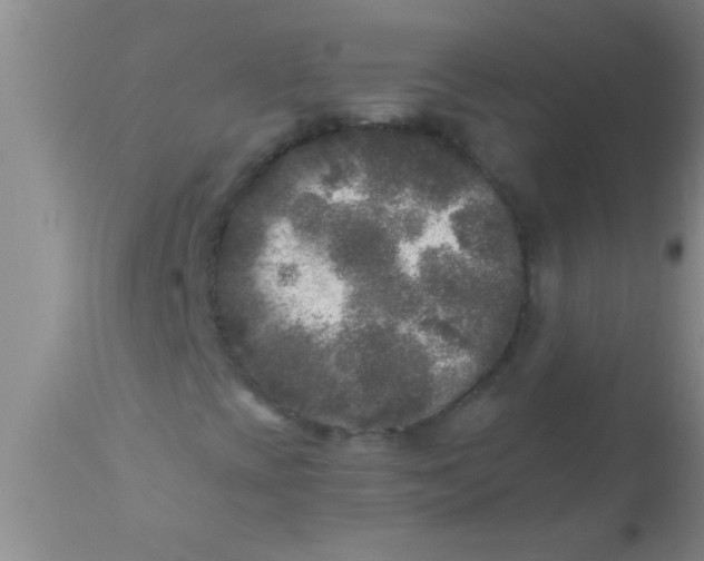 X0000110941393200907022123