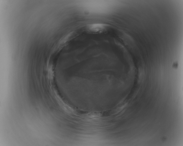 X0000110941394200907022123