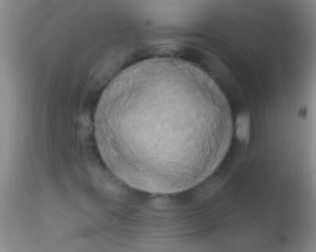 X0000110941395200907022123