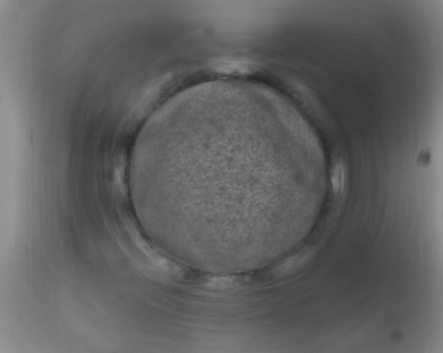 X0000110941396200907022123