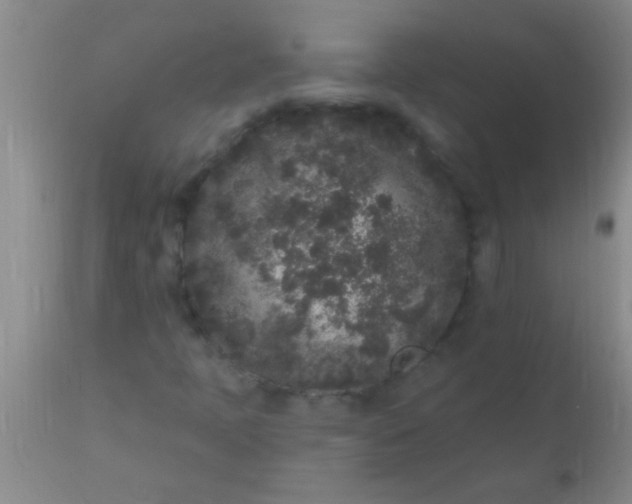 X0000110941397200907022123