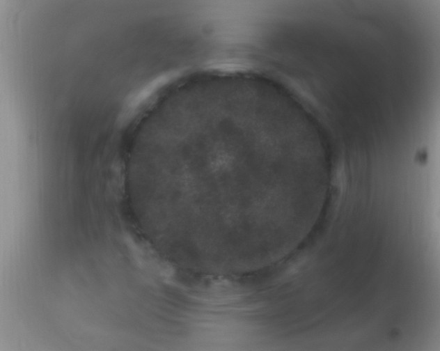 X0000110941398200907022123